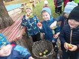 Sbíráme jablíčka